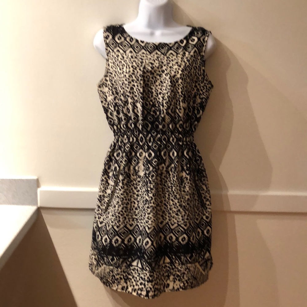 Speed Control slip on dress.